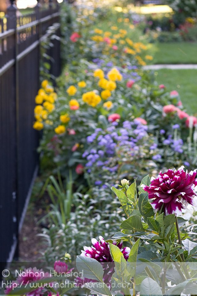 Summit_Avenue_2008-08-24_IMG_1581